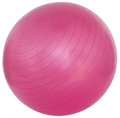 Gymbal Avento Roze 55 cm