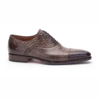 Greve Barbera Grey Vara Bolero