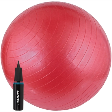 Gymbal Avento 65 cm Met Pomp Roze