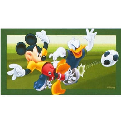 Strandlaken Disney Mickey & Donald