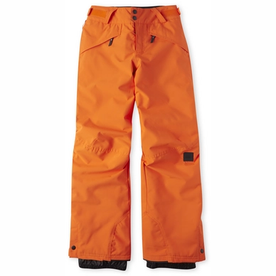 Pantalon de Ski O'Neill Boys Anvil Pants Puffin's Bill