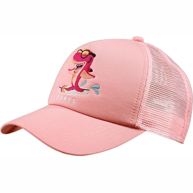 Pet Barts Turtle Cap Pink (Maat 53)