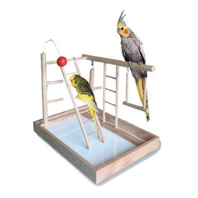 Vogel Speeleiland Nobby
