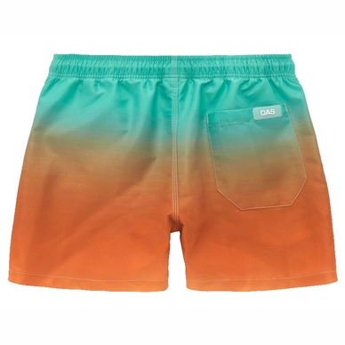 498_78f502fb31-orange-grade-swim-shorts_5001-241_b-full