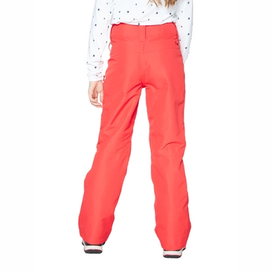 4990000_201_model_back-half_01
