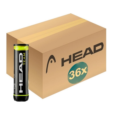 Tennisball HEAD 4B Team (Paket 36x4)