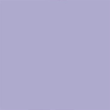 5---1760071_548_sw_conversion1