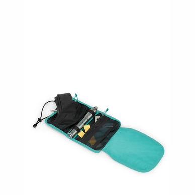Rugzak Osprey Raptor 10 Cedar Green