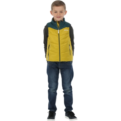 Winterjas Regatta Zipper II Antique Moss