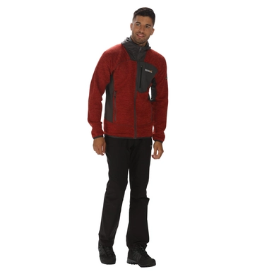 Vest Regatta Mens Cartersville III Burnt Tikki/Seal Grey