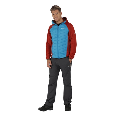 Jas Regatta Mens Andreson II Hybrd Burnt Tikki Hydro Blue