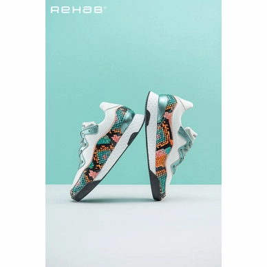5---rehab-alexa-snake-mnt2-campagne