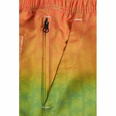 5---859_b36f12438e-reggae-air-swim-shorts-5001-292-c-original