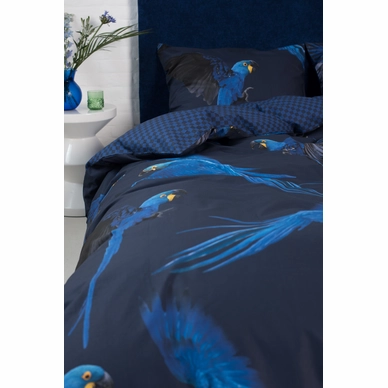5---Blue_Parrot_2persoons_rgb-4057