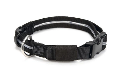 Halsband Beeztees Met LED string