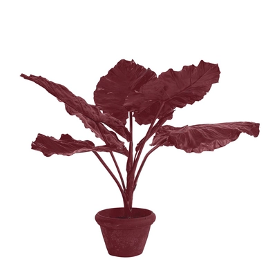 Kunstplant POLSPOTTEN Taro In Pot Dark Red
