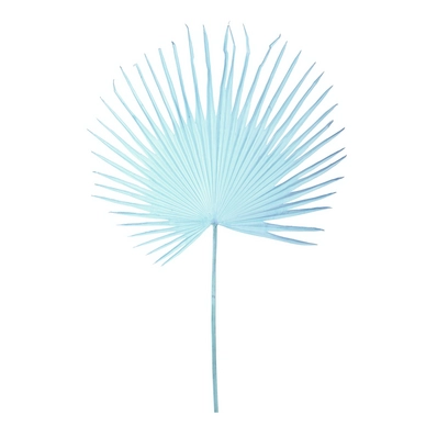 Kunstplant POLSPOTTEN Fan Palm Leaf Light Blue