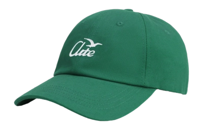 Cap Arte Antwerp Men Bird Logo Green