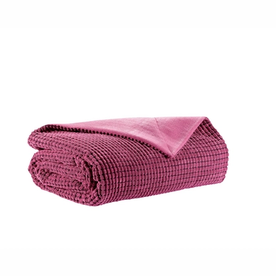 Plaid Home Living Noples Soft Touch Pink
