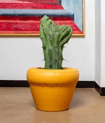 Home-Studyo-tableware-planter-yolk-1200x1400px-5