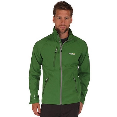 Jacke Regatta Neilson III Softshell Alpine Grün Herren