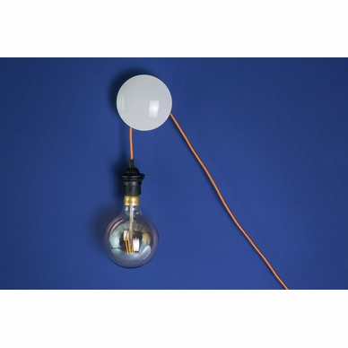 Wandhaakje Koziol Spot Transparent Grey