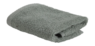 Serviette de Toilette Bahne Light Green (30 x 30 cm)
