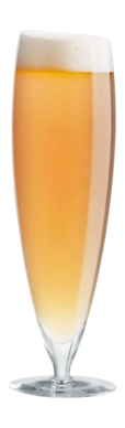 3---541112_large_beer_glass_1-_no-bg