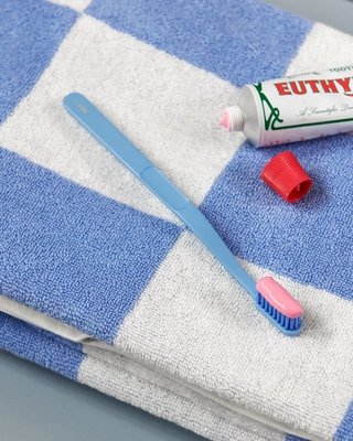 Check Hand Towel sky blue_Tann Toothbrush blue