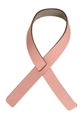 Distributeur Serviette en Papier Lind DNA Loop Nupo Rose/Light Grey  (Ensemble de 4)