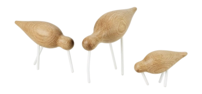 3---Shorebird Medium4