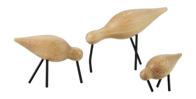 3---Shorebird Small4