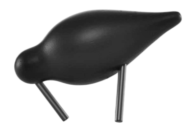 2---Shorebird Small2