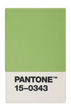 Porte Cartes Copenhagen Design Pantone in Giftbox Greenery
