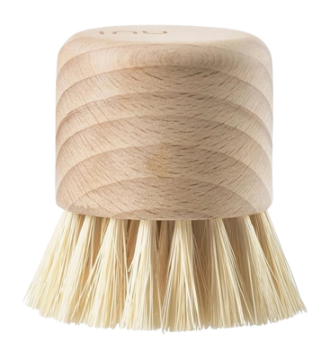 Brosse Zone Denmark Inu Hêtre Court