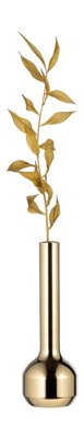 Vaas Lind DNA Silhouette 120 Gold Plated