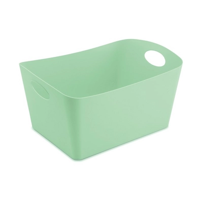 Opbergbox Koziol Boxxx L Solid Mintgroen