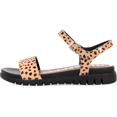 Sandale Gioseppo Norwalk Leopard Damen