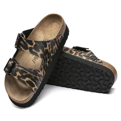 6---1017617_sole