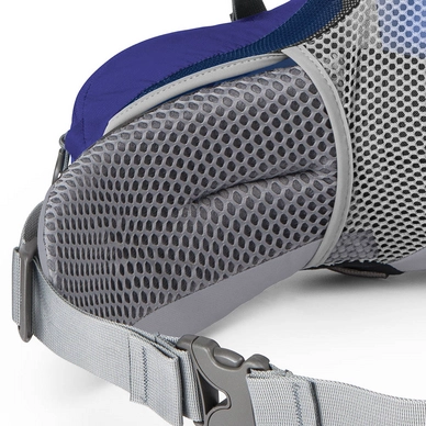 Backpack Osprey Ariel AG 55 Boothbay Grey Dames (Medium)