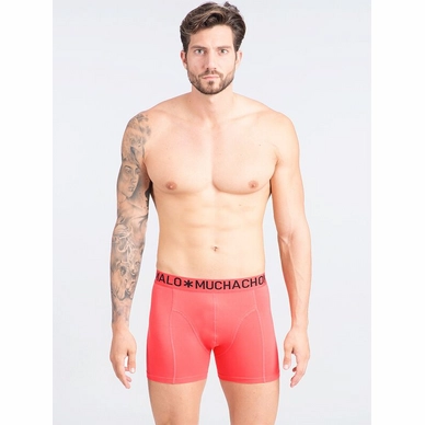 6---CORAL_FRONT-10918