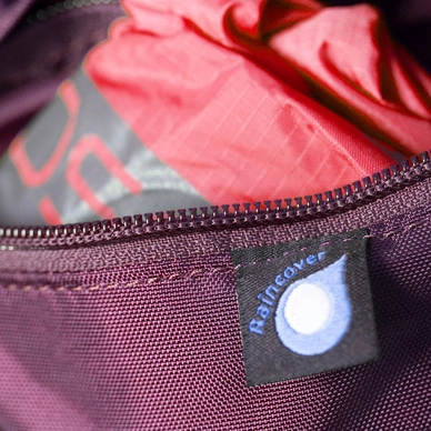 Osprey kyte store 46 purple calla