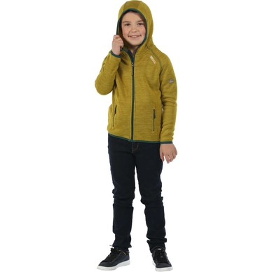Vest Regatta Dissolver Antique Moss