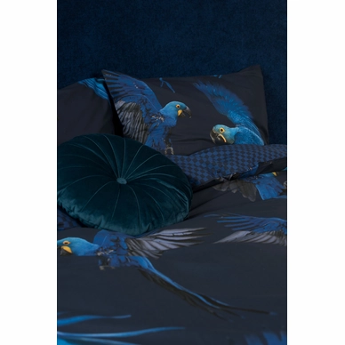 6---Blue_Parrot_2persoons_rgb-4060