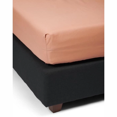 6---minte_fitted_sheet_bright_terra_100172_502_lr_s2_p_1