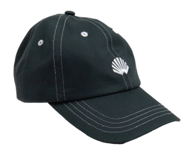 Cap New Amsterdam Surf Association Men Logo Green