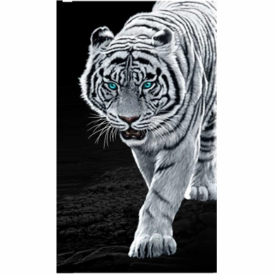 Strandtuch Weißer Tiger XL