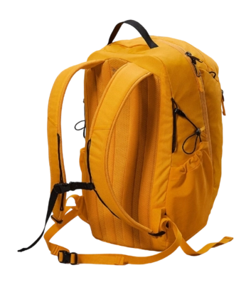 3---F23-X000006044-Mantis-26-Backpack-Edziza-Back-_no-bg