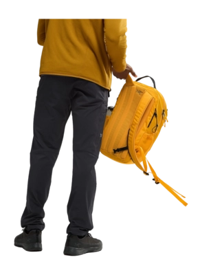 5---F23-X000006044-Mantis-26-Backpack-Edziza-Back-View-_no-bg