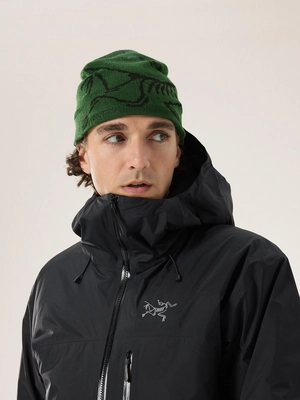 3---F24_X000006756_021434_Bird Head Toque_Eden - Black_Neutral_NA_Hover